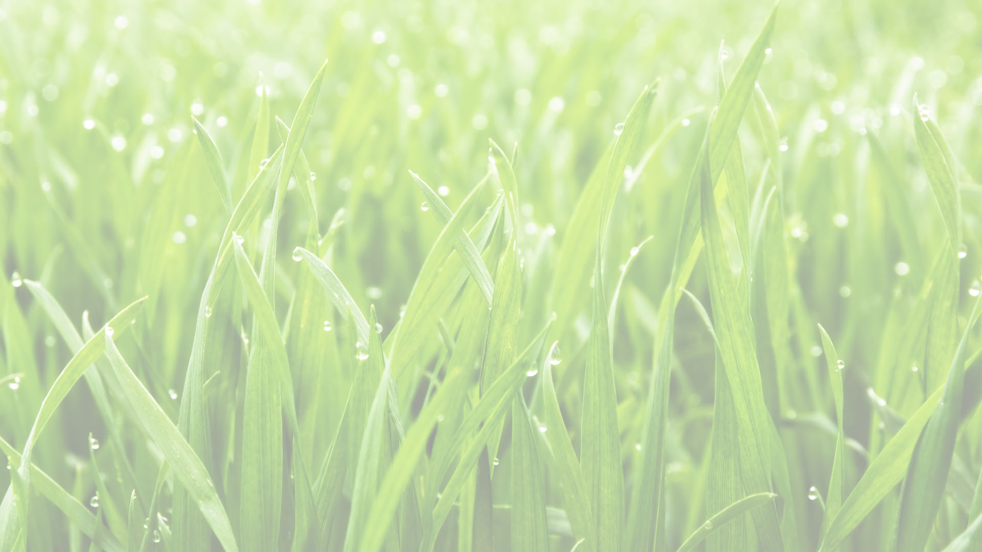 Grass Banner