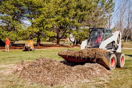 Land Clearing